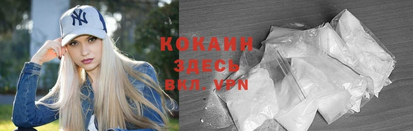 spice Гусев