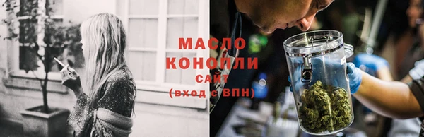 spice Гусев