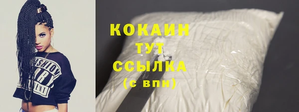гидропоника Гусь-Хрустальный