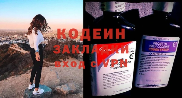 spice Гусев