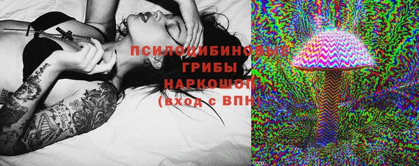гидропоника Гусь-Хрустальный