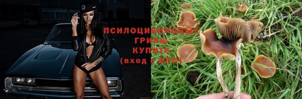 мет Горнозаводск