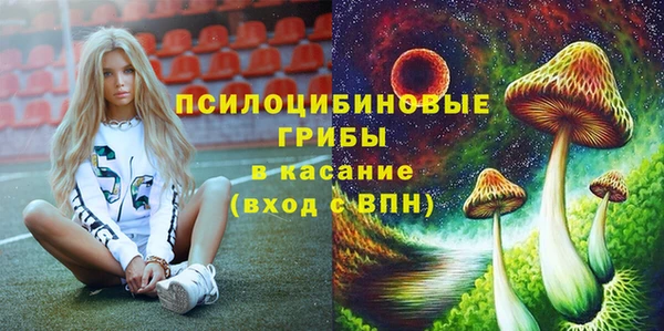 гидропоника Гусь-Хрустальный