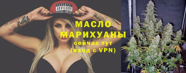 гидропоника Гусь-Хрустальный