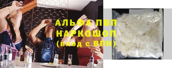 spice Гусев